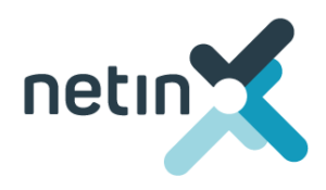 Ranking agencji SEO - Netin