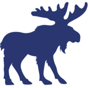 Ranking agencji SEO - Wild Moose